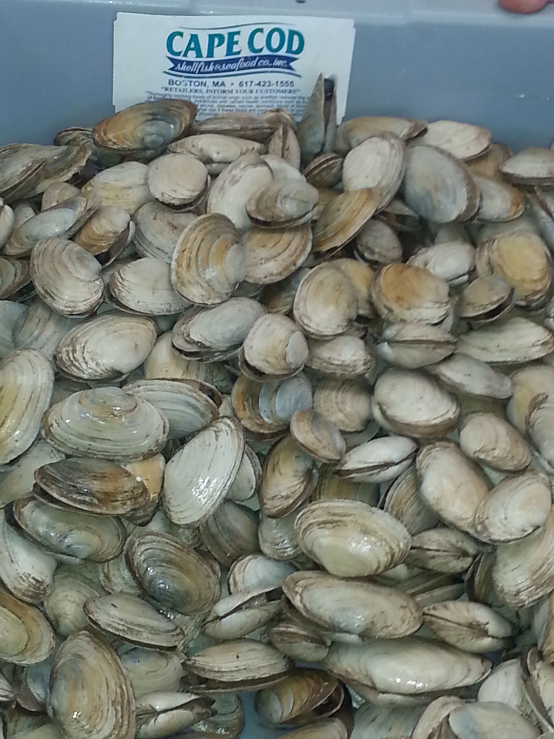 Fresh Seafood North Myrtle Beach, SC North Atlantic Seafood Market