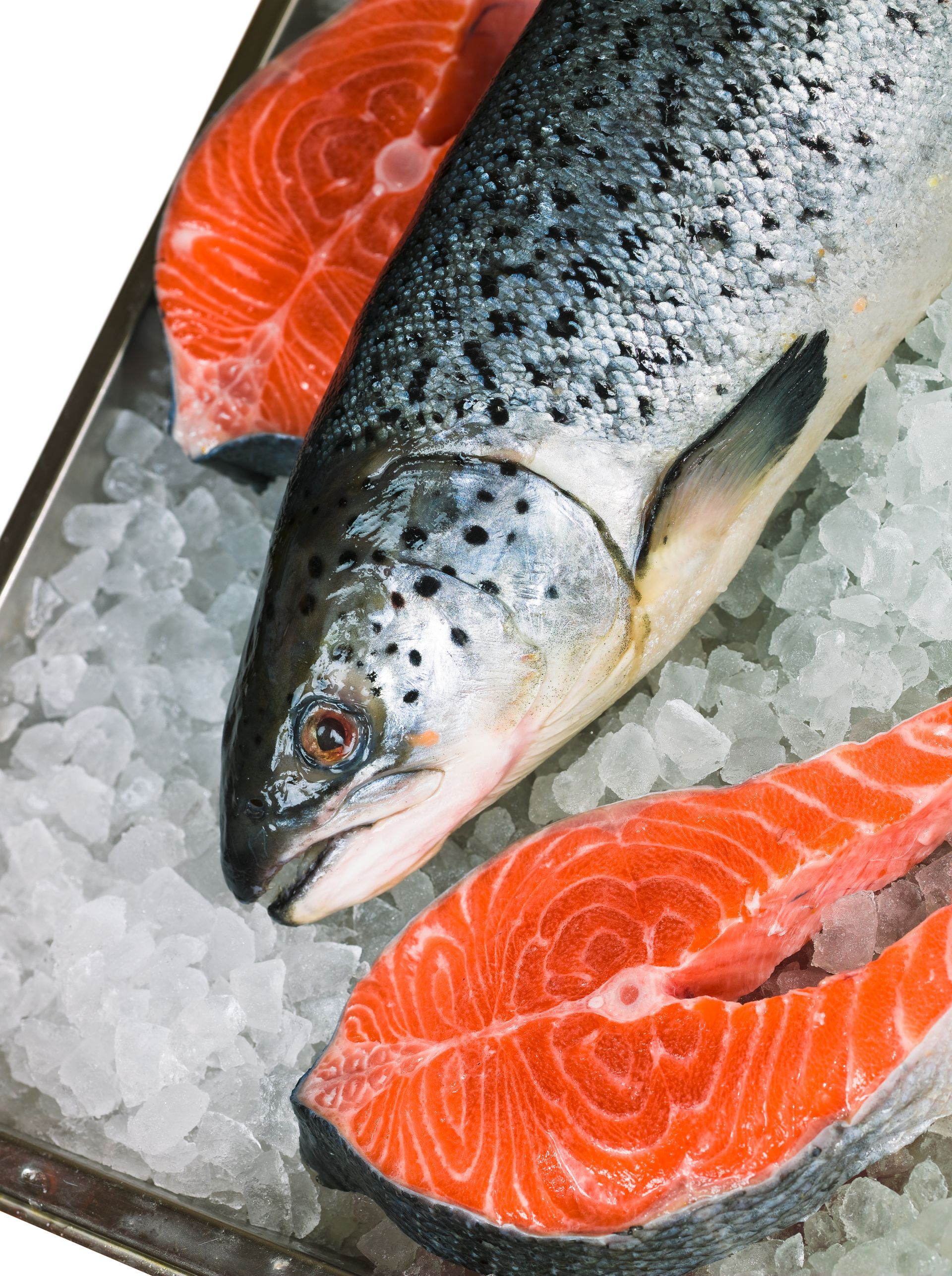 fish on ice