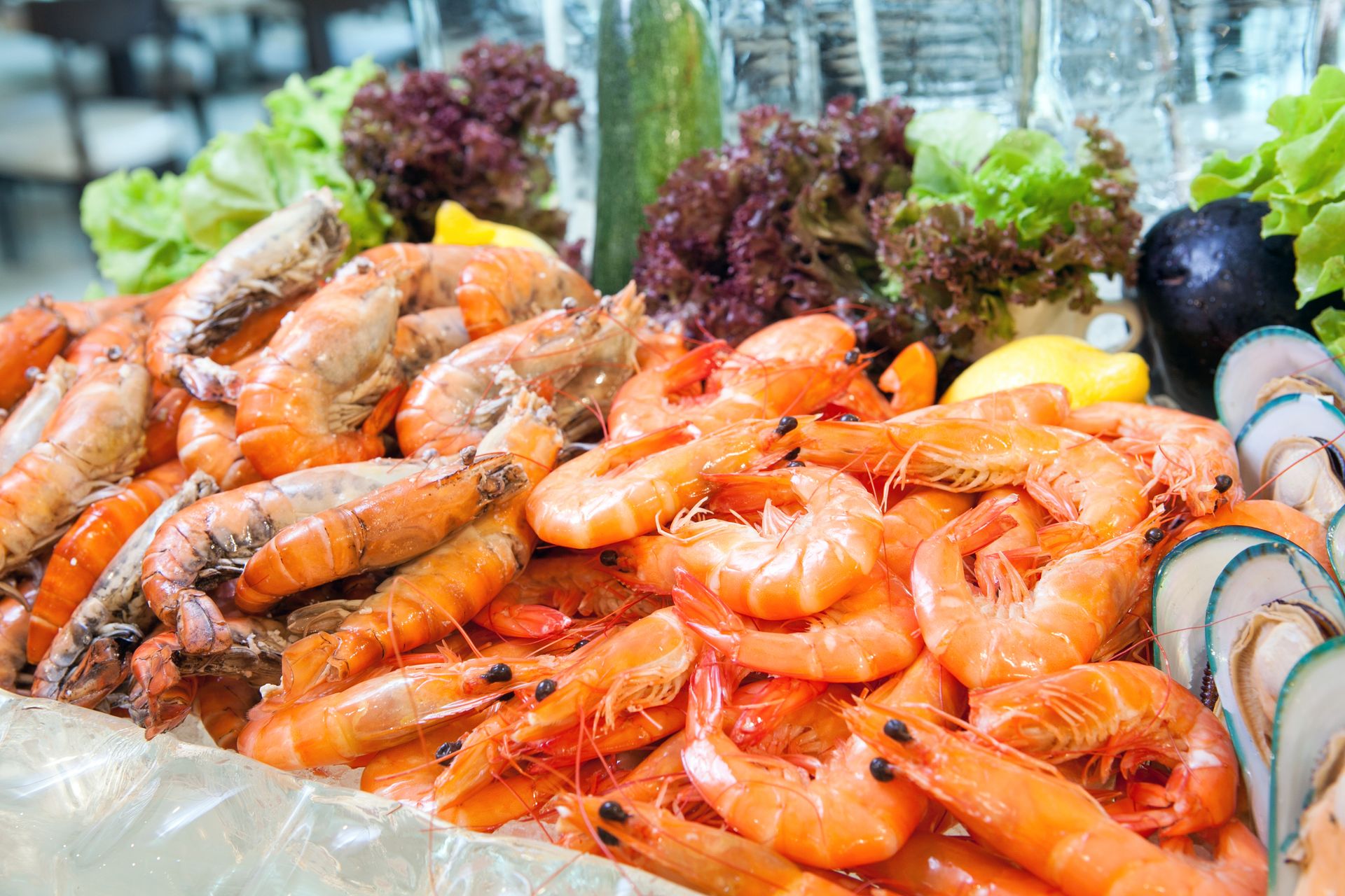 Fresh Seafood North Myrtle Beach, SC North Atlantic Seafood Market