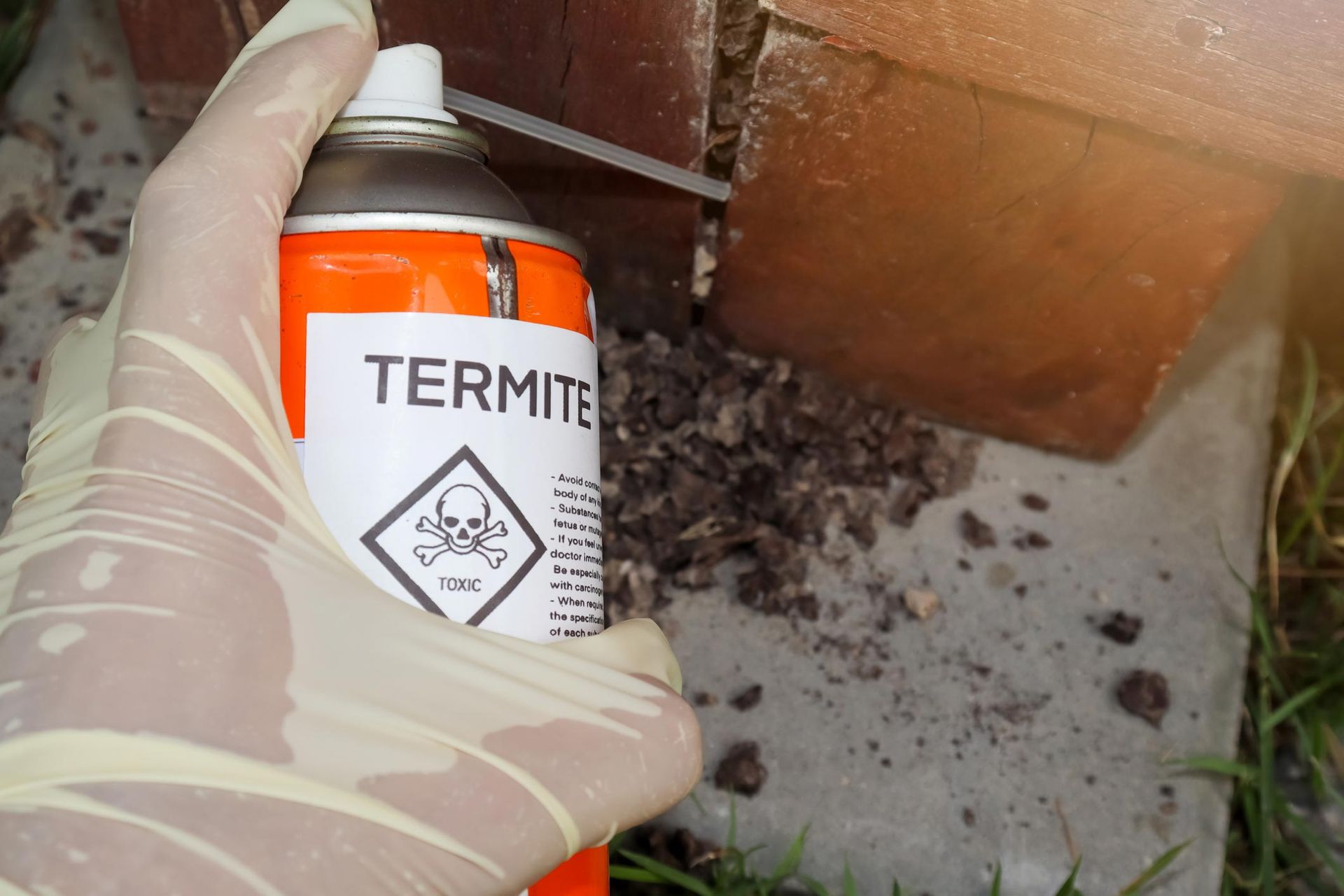 A Person Holding A Spray Can — Jacksonville, FL — CritterPro Inc. A Person Holding A Spray Can — Jacksonville, FL — CritterPro Inc.