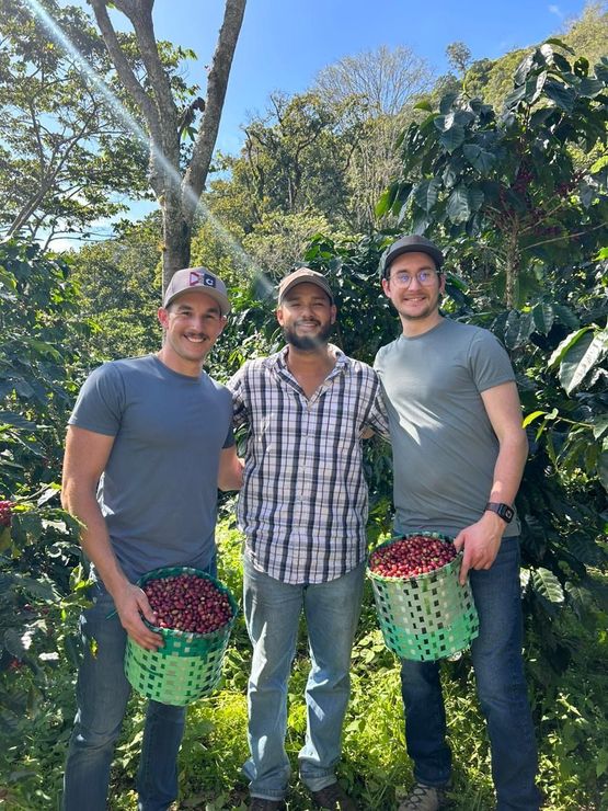 Three men are standing next to each other holding baskets of coffee beans.