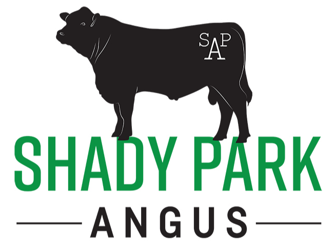 Shady Park Angus - logo 