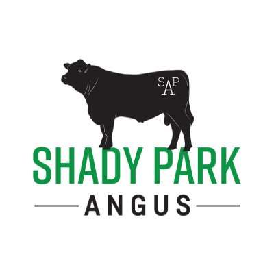 Shady Park Angus - logo