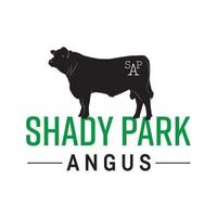 Shady Park Angus - logo
