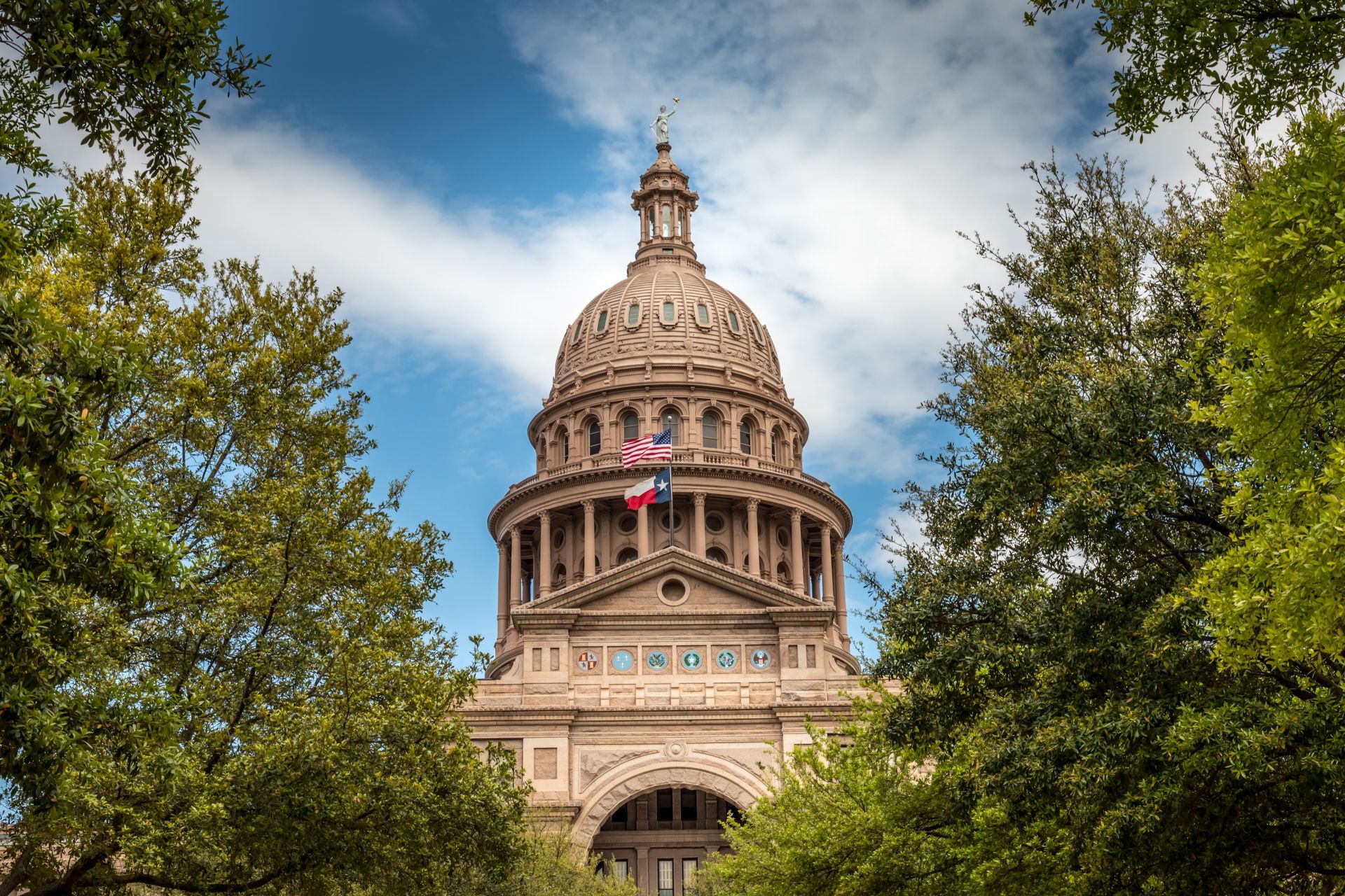 The texas capitol building is surrounded by trees on a sunny day.