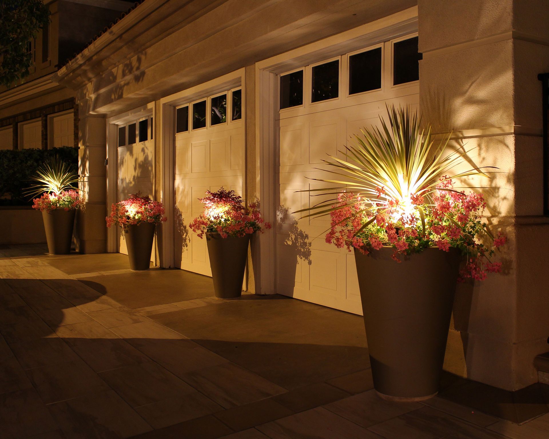 Warmly lit row of potted flowers beside a building entrance at night