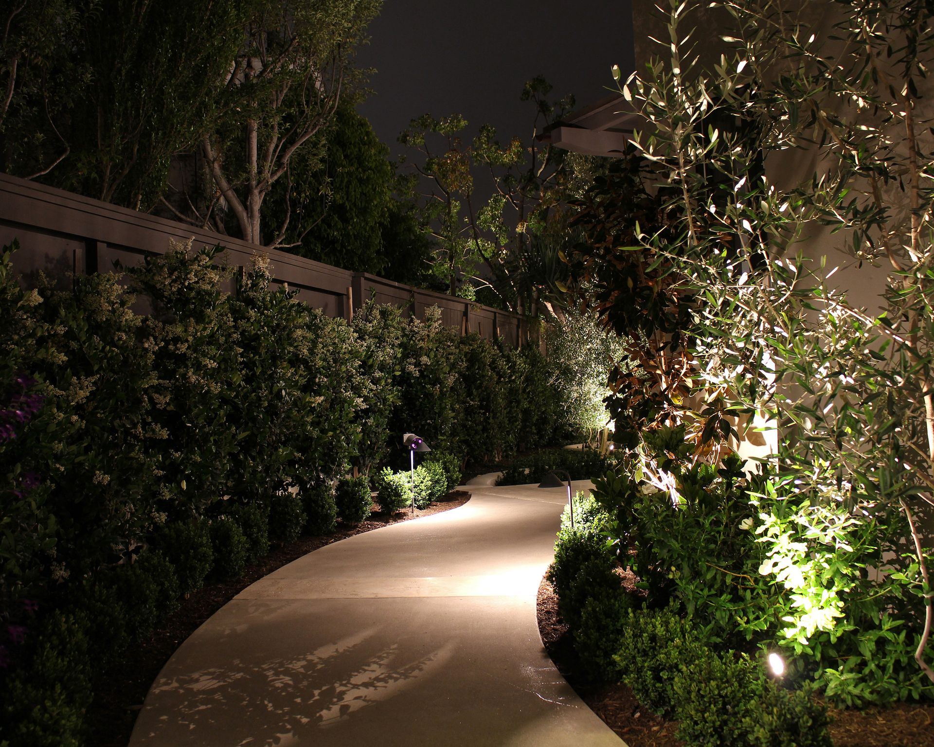 Curved garden path lit at night, lined with dense greenery and warm spotlights.