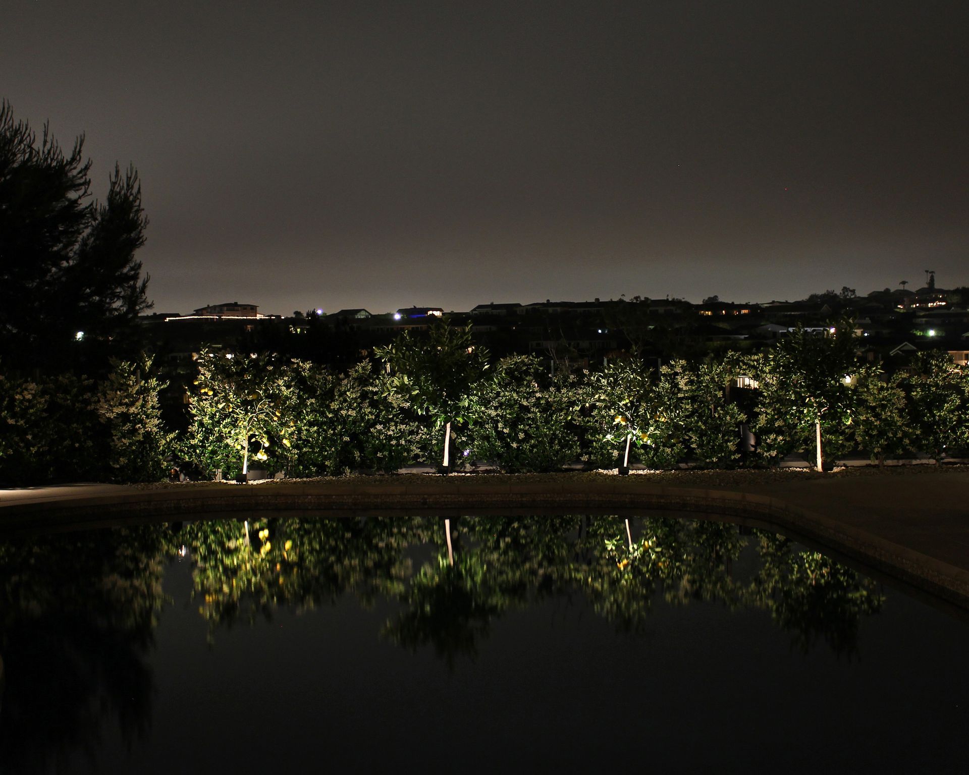 Nighttime view of a lit hedge and its reflection in a dark pool under an overcast sky