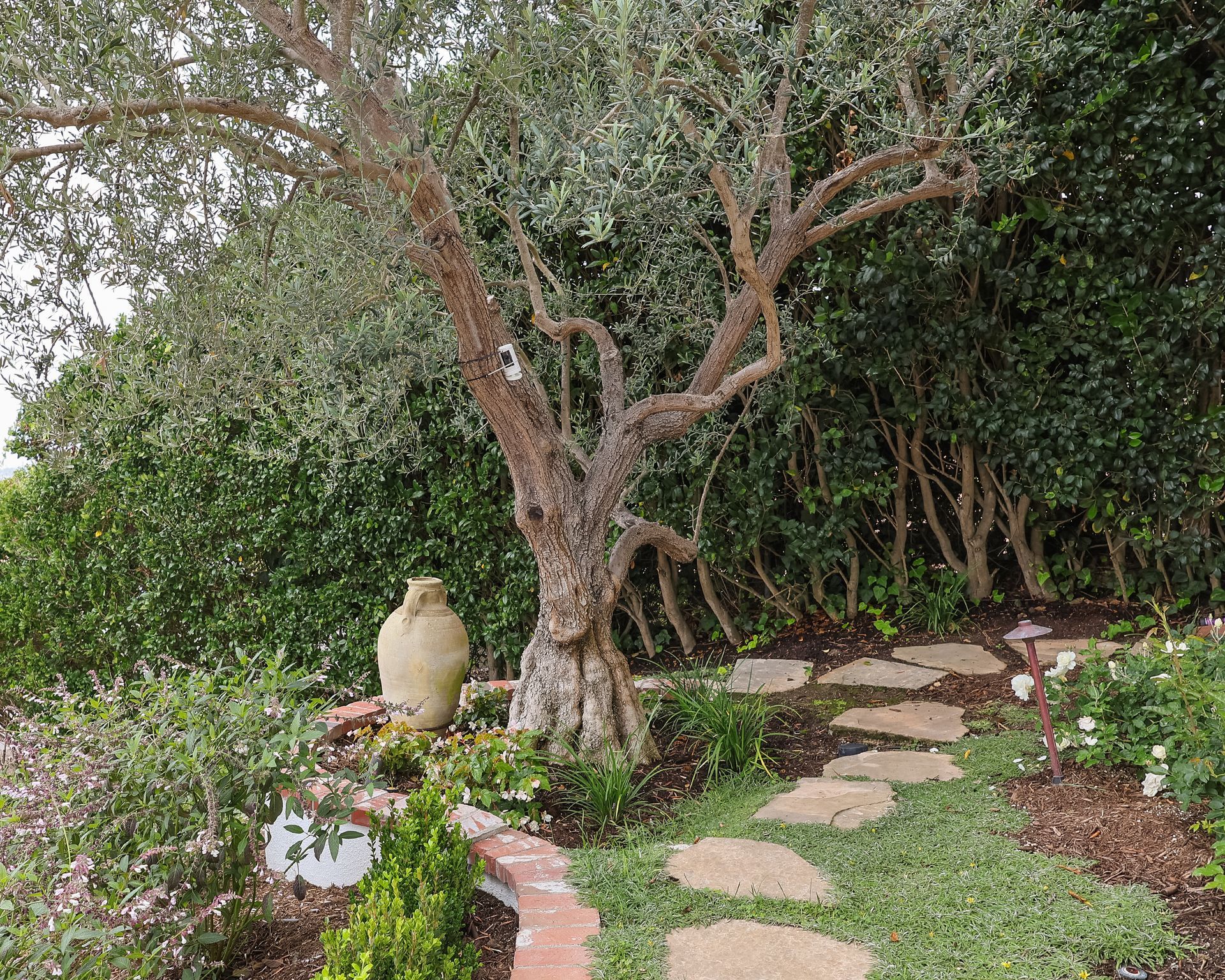 Garden path winding past a tree and stone bird sculpture among greenery and flowers