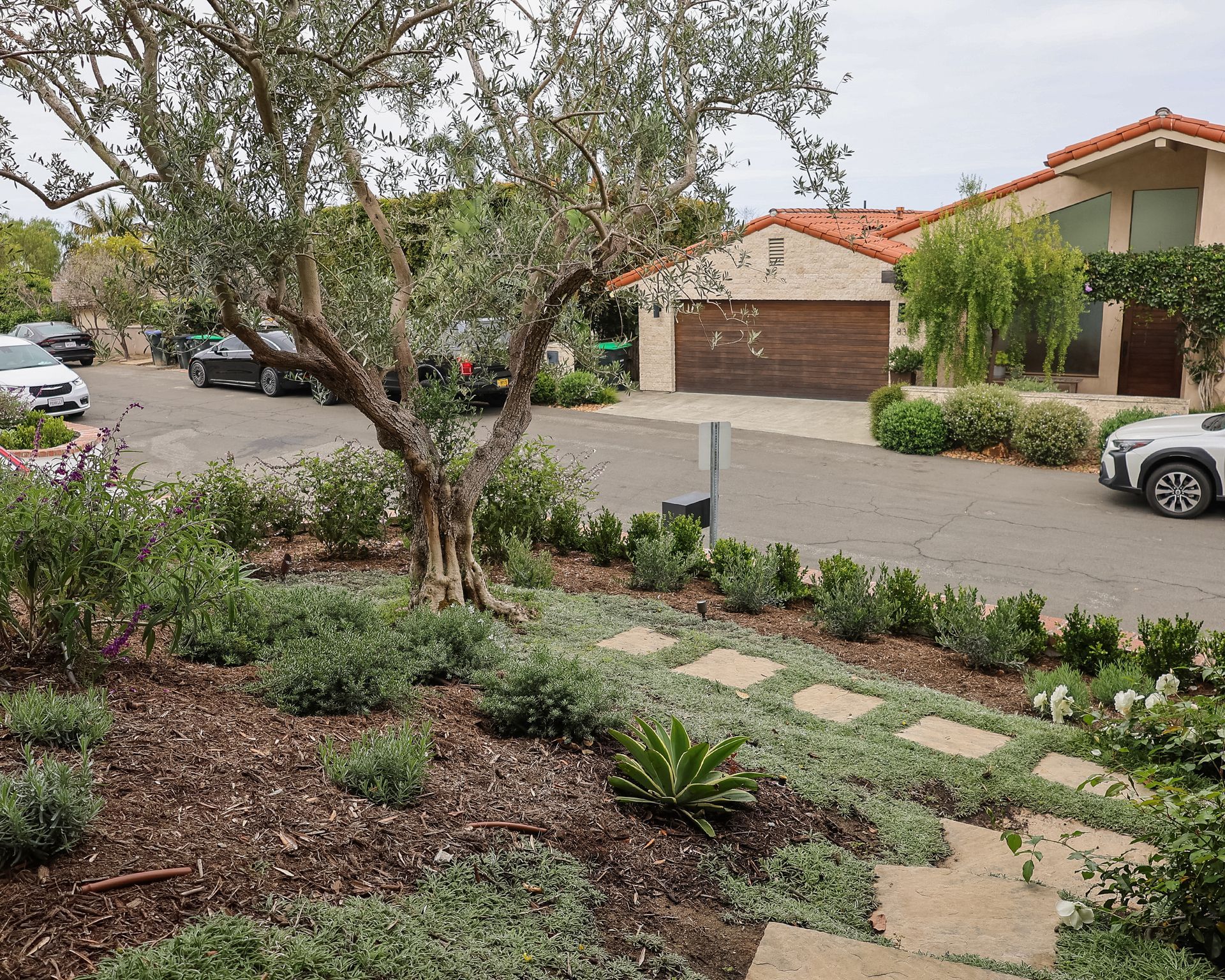 Front yard garden with stone path, shrubs, and a tree beside a suburban house and driveway