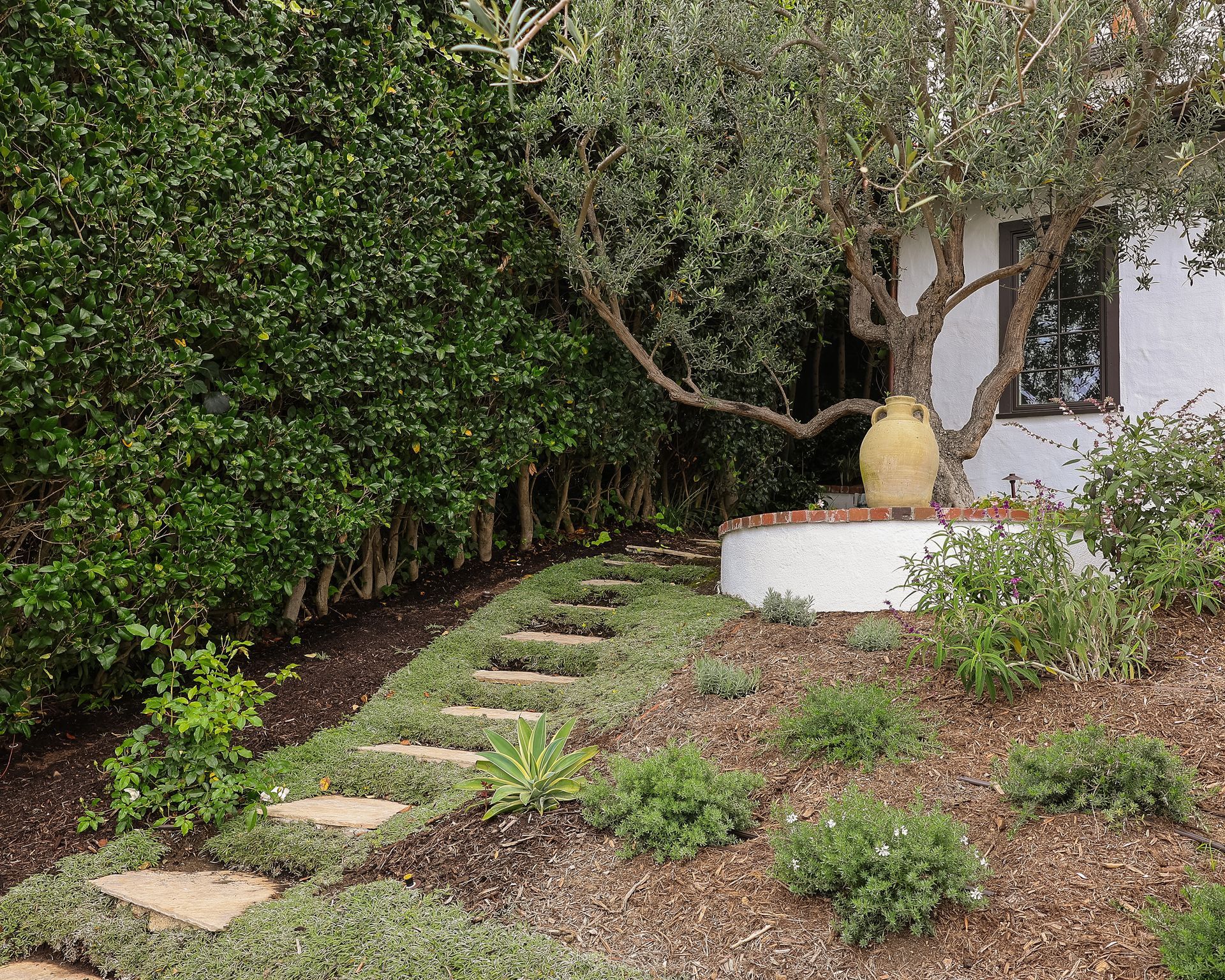 Garden path with stepping stones, low shrubs, and a white planter beneath trees near a house.