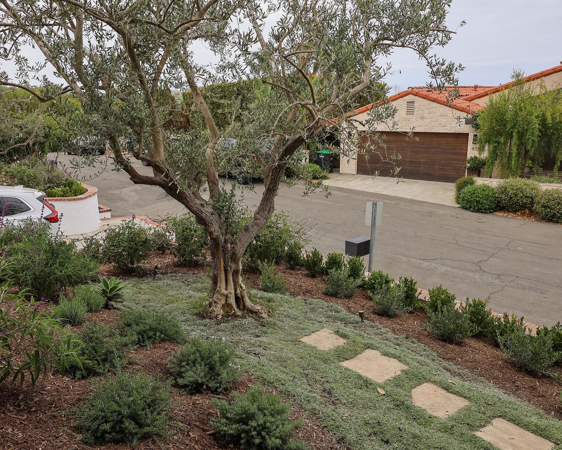 A landscaped front yard with a tree, stepping stones, shrubs, and a driveway beside a house.