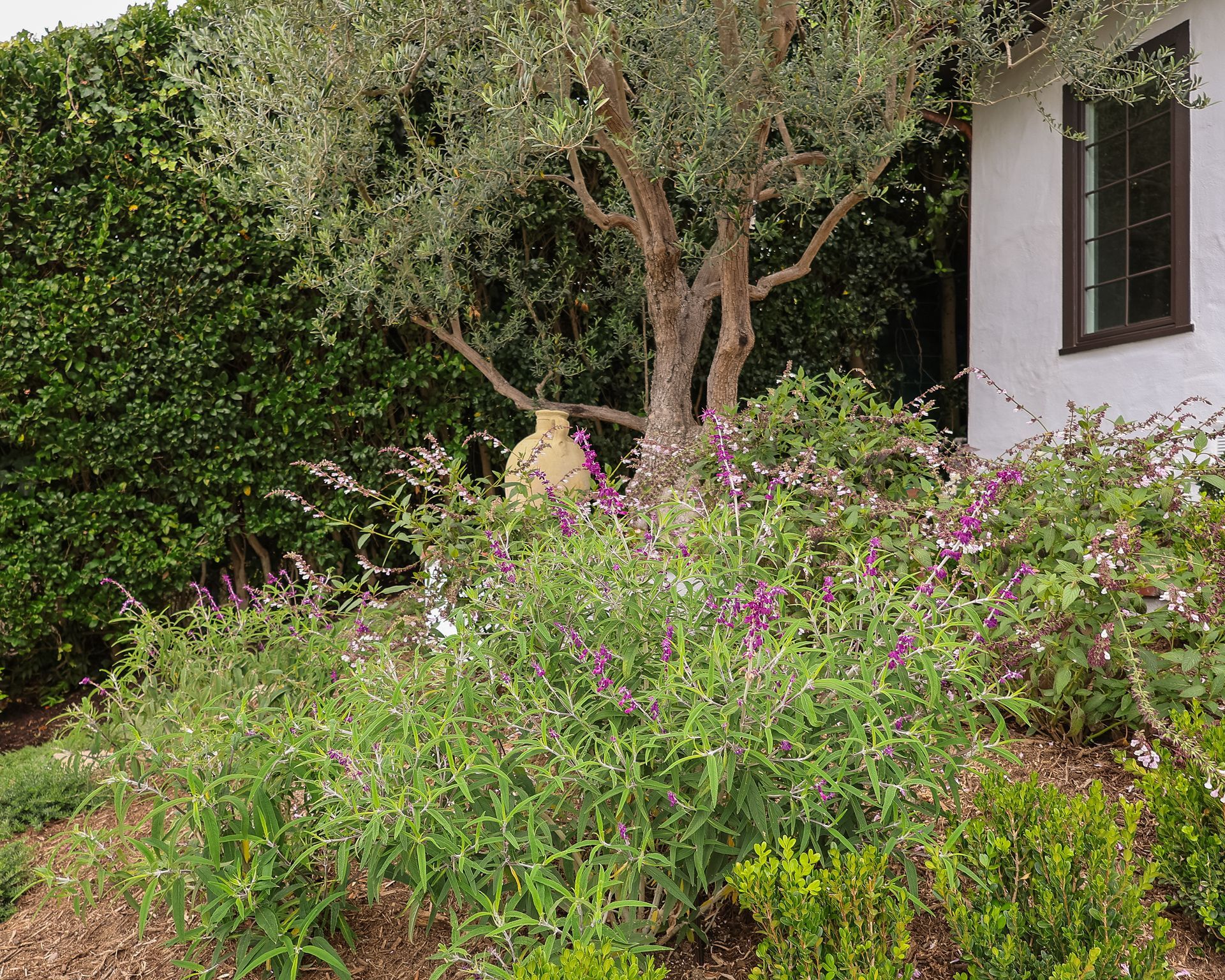 Garden with purple wildflowers, a tree, and a house wall beside a hillside