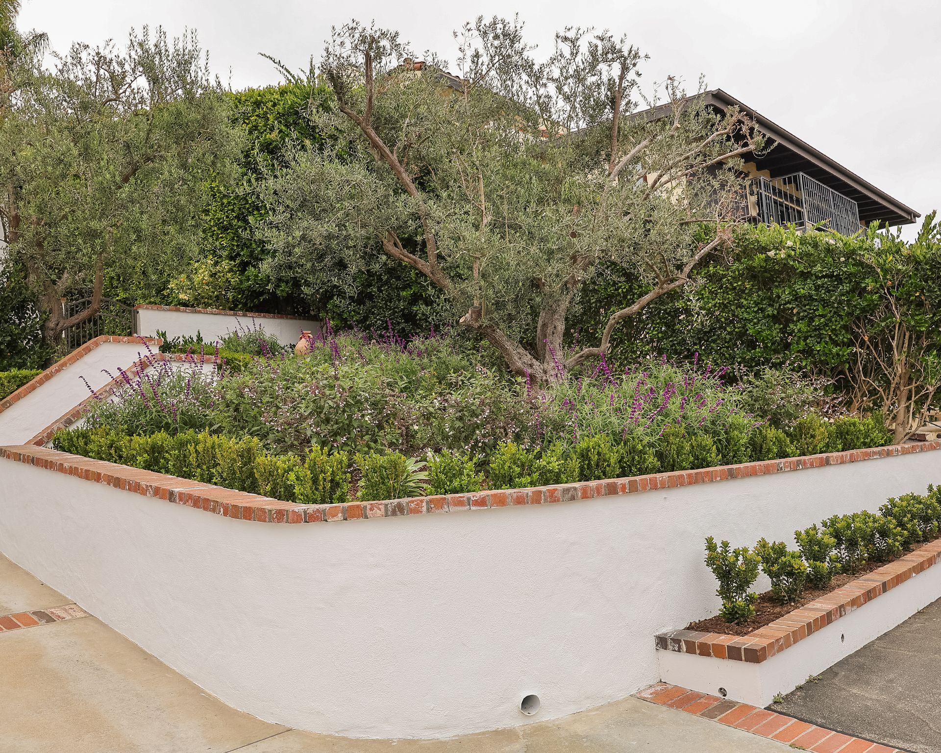 Raised garden bed with brick edging, white walls, and dense green shrubs in a front yard