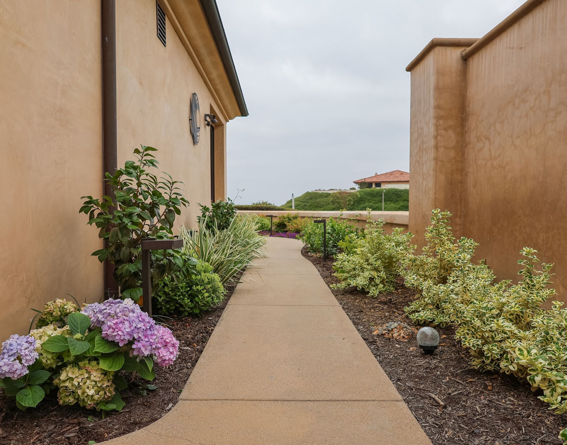 Narrow garden path between tan buildings with shrubs and purple flowers leading to a grassy area.