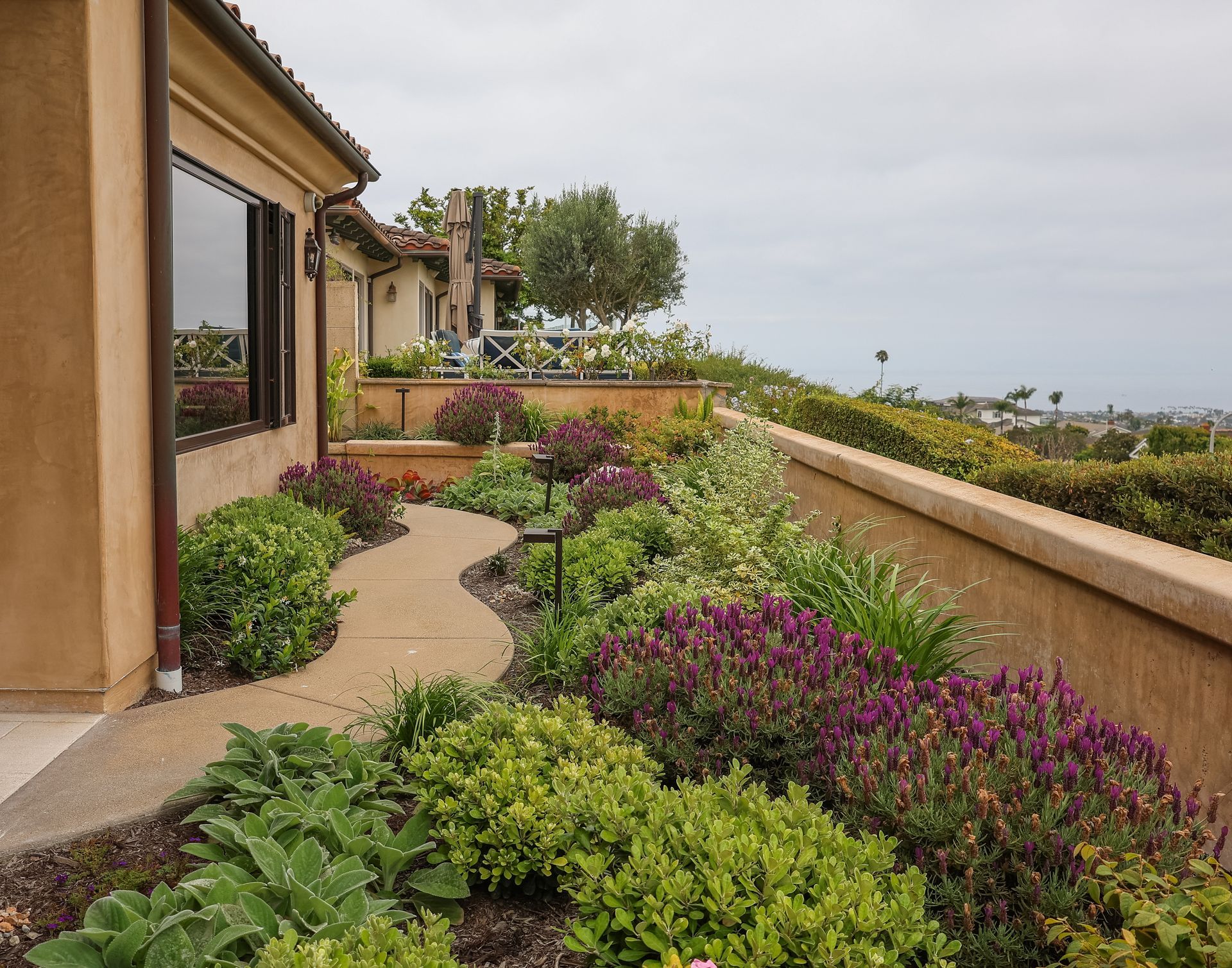 Curved garden path beside a stucco house, lined with purple flowers and green shrubs overlooking the coast.