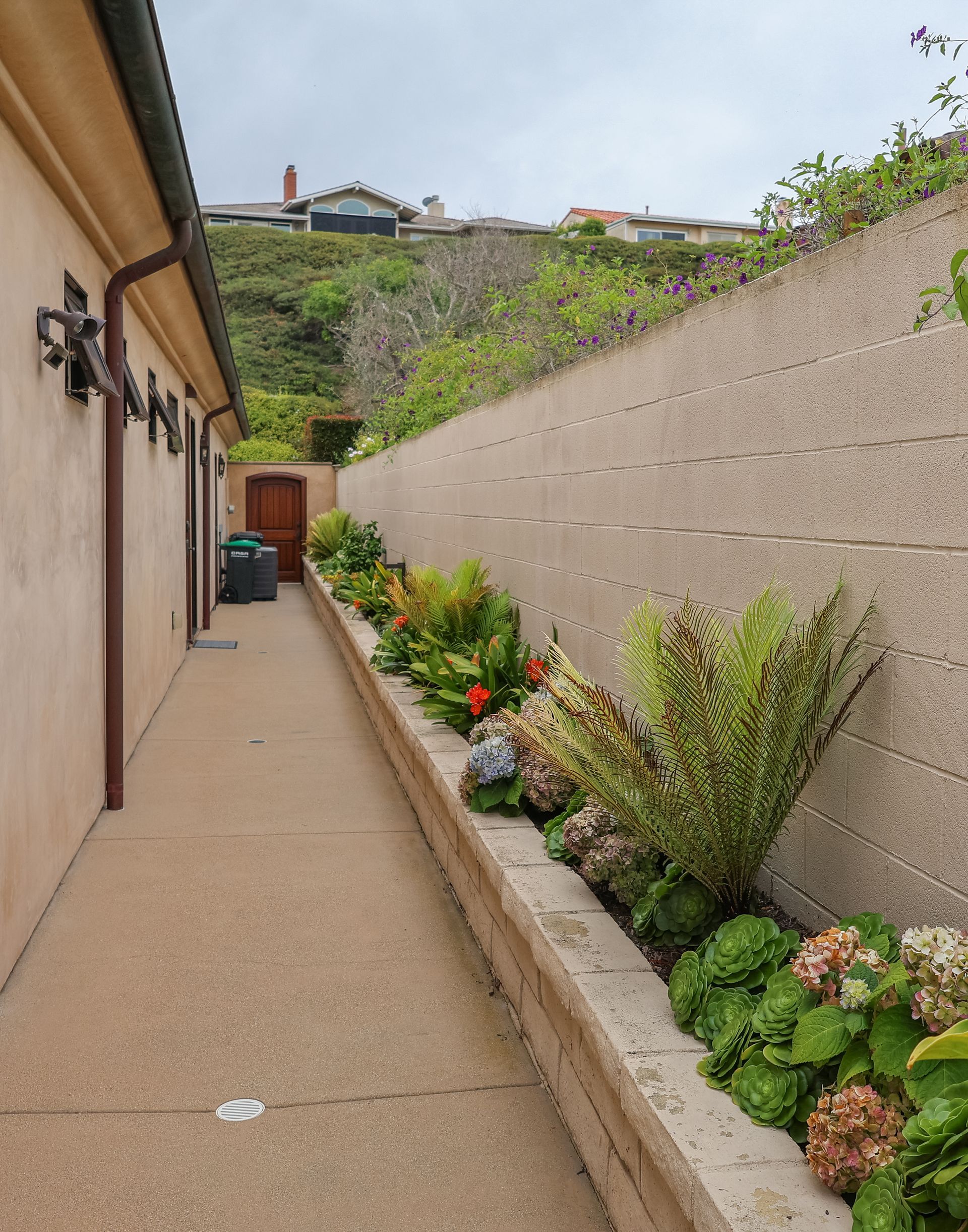 Narrow concrete walkway beside a stucco wall, with a flower bed and hillside homes in the distance.