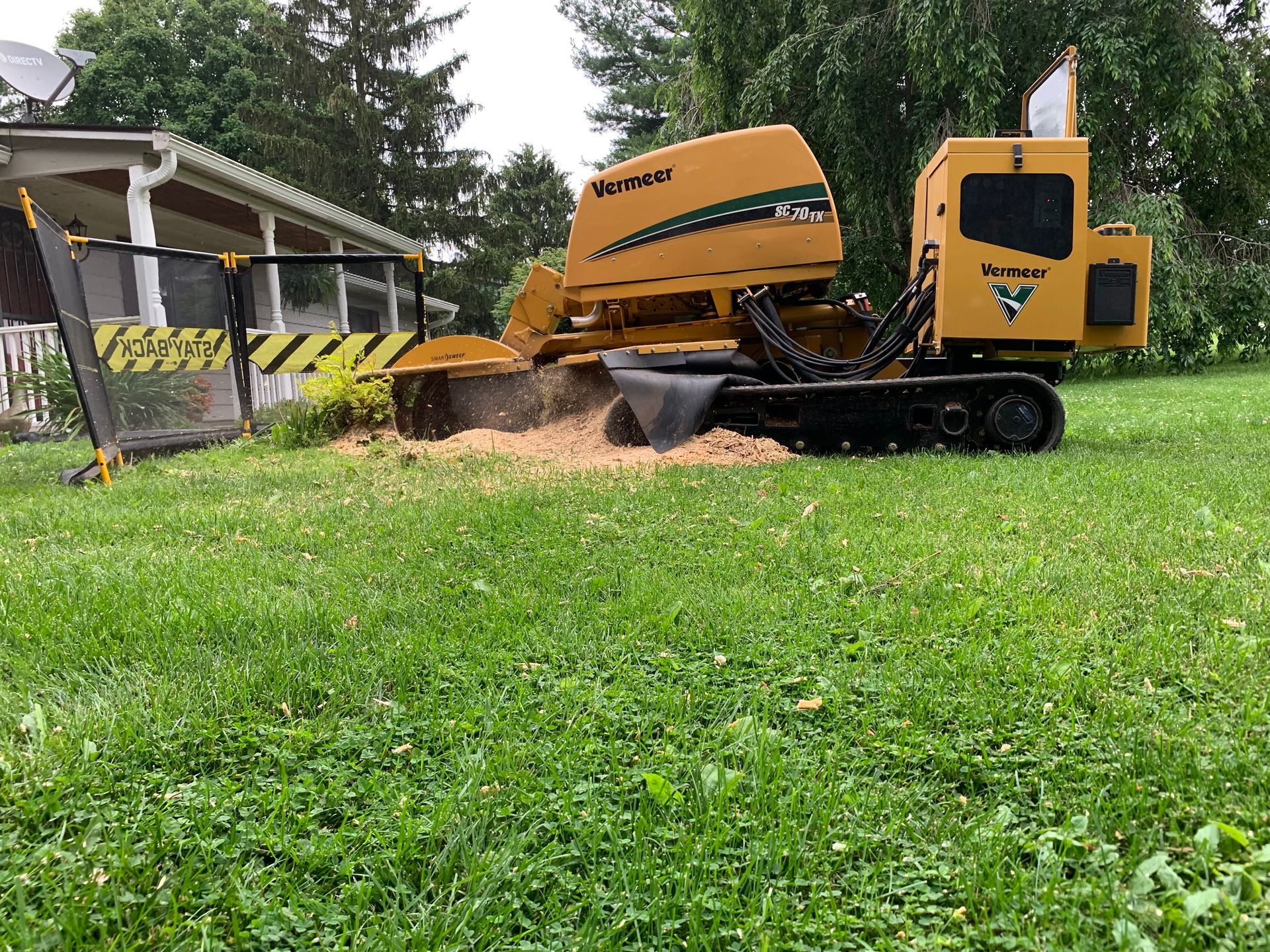Affordable Tree Stump Removal Spring Branch TX