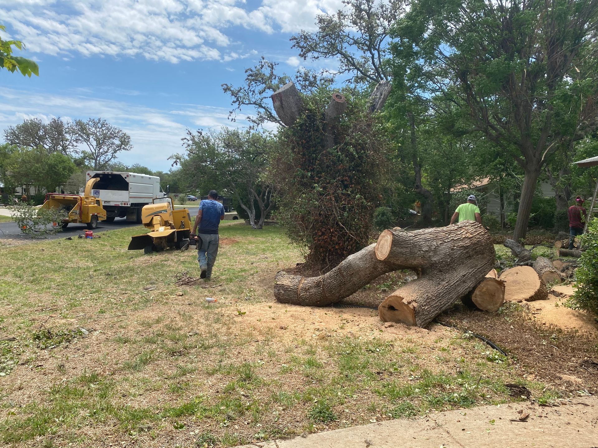 Salyers tree removal Spring Branch TX