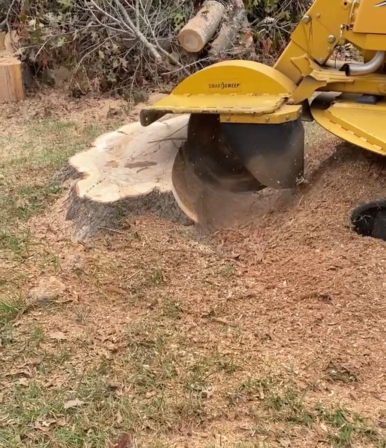 Stump Grinding New Braunfels TX