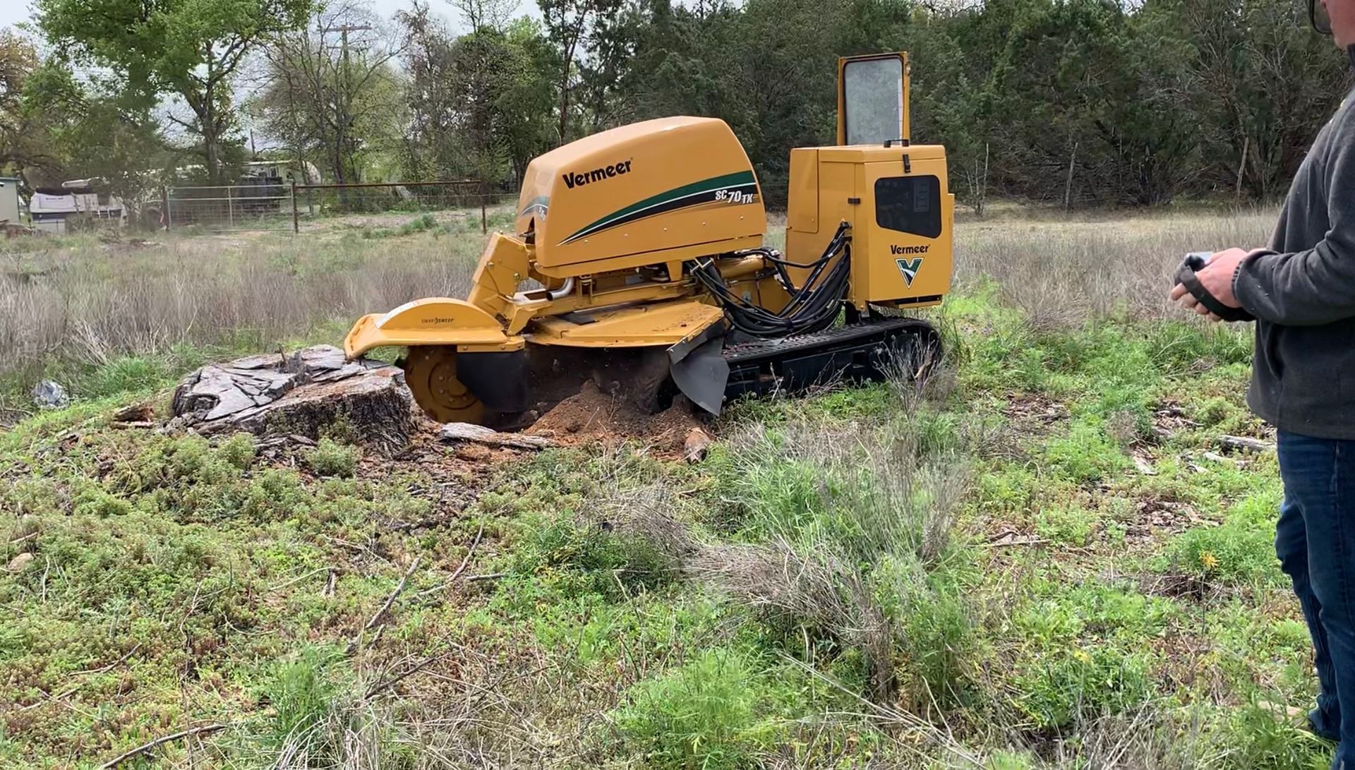 Tree Stump Removal Services Canyon Lake TX