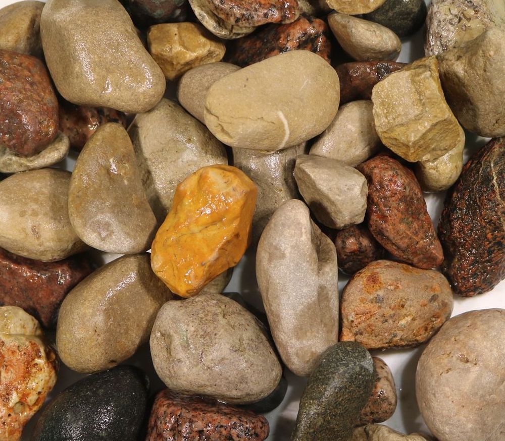 A pile of rocks of different sizes and colors on a white plate