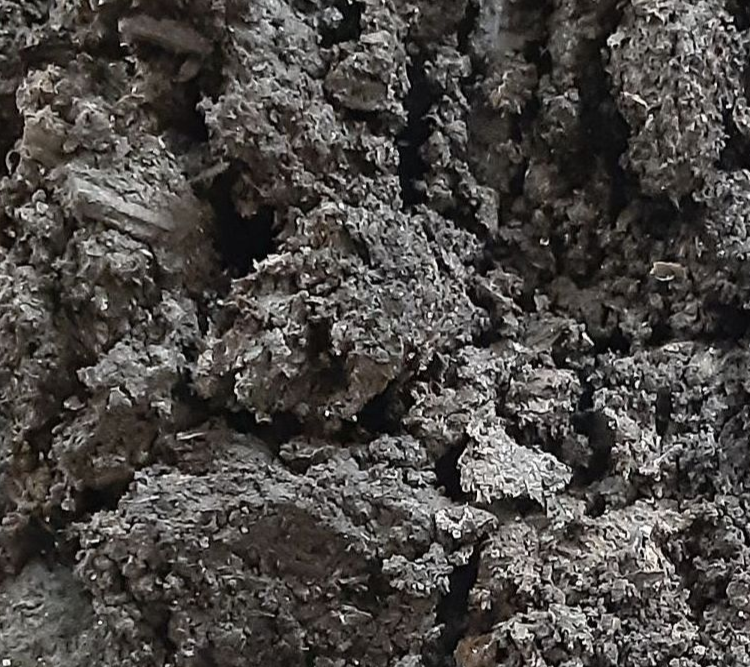A close up of a pile of dirt on a white plate.