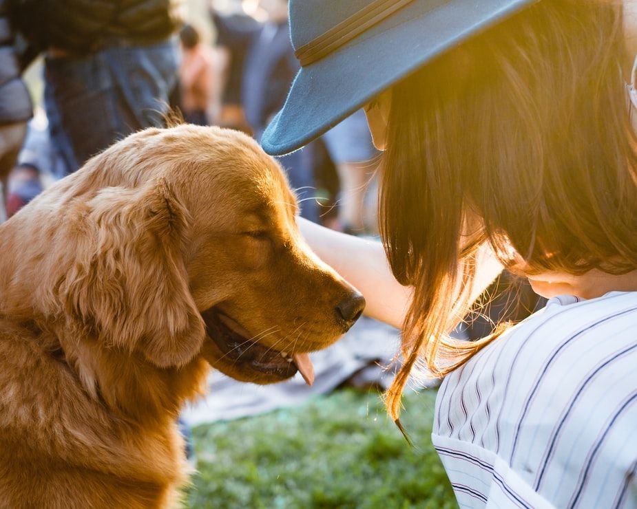 A woman in a hat is petting a dog in the grass.