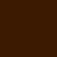3c1a01 gutter color