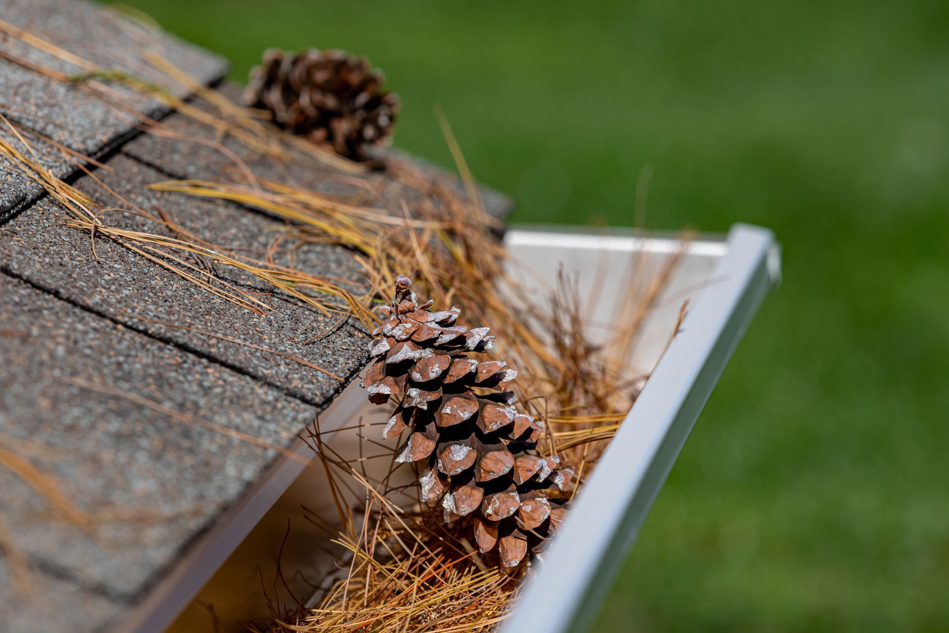 fall gutter maintence