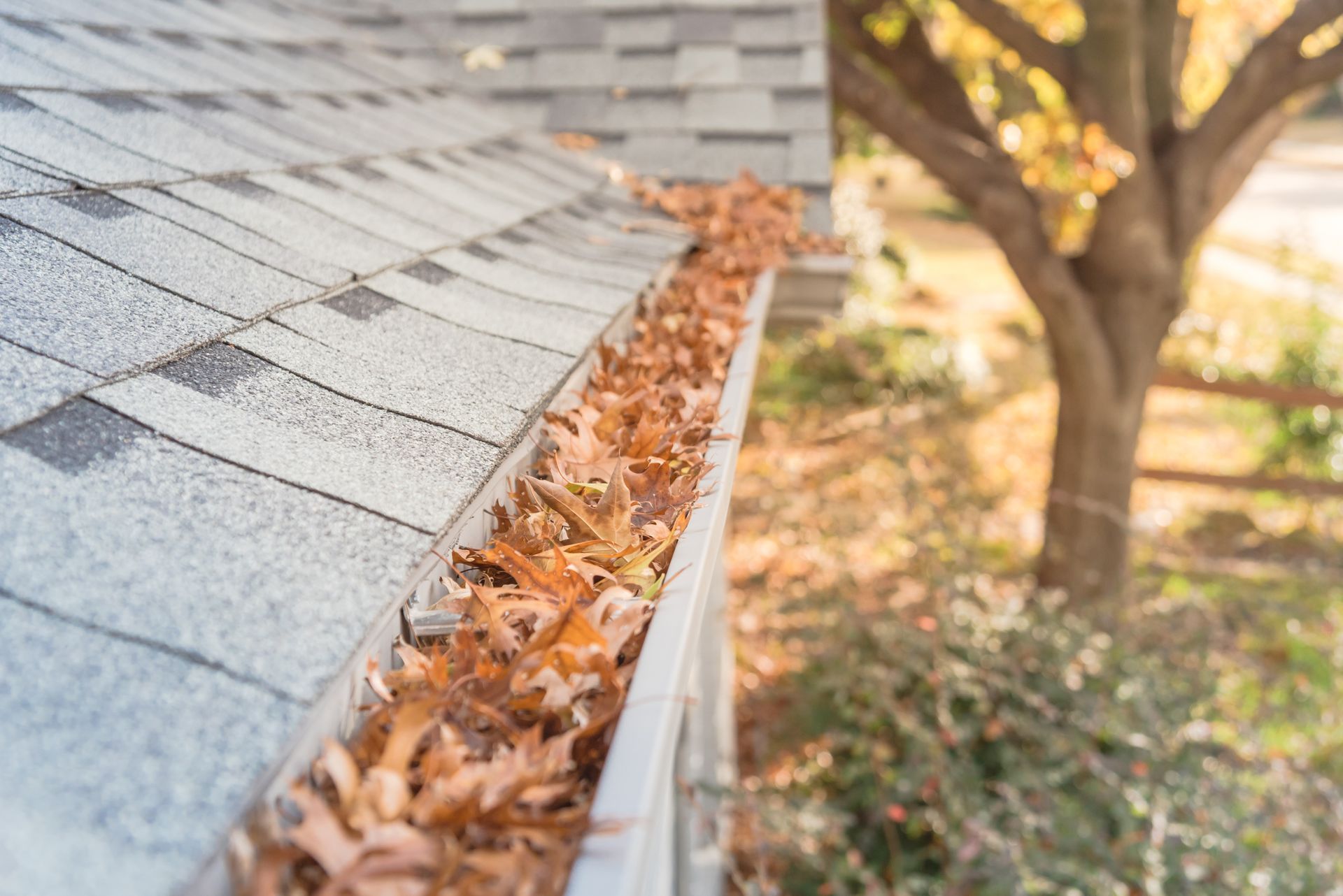 Gutter Cleaning Service