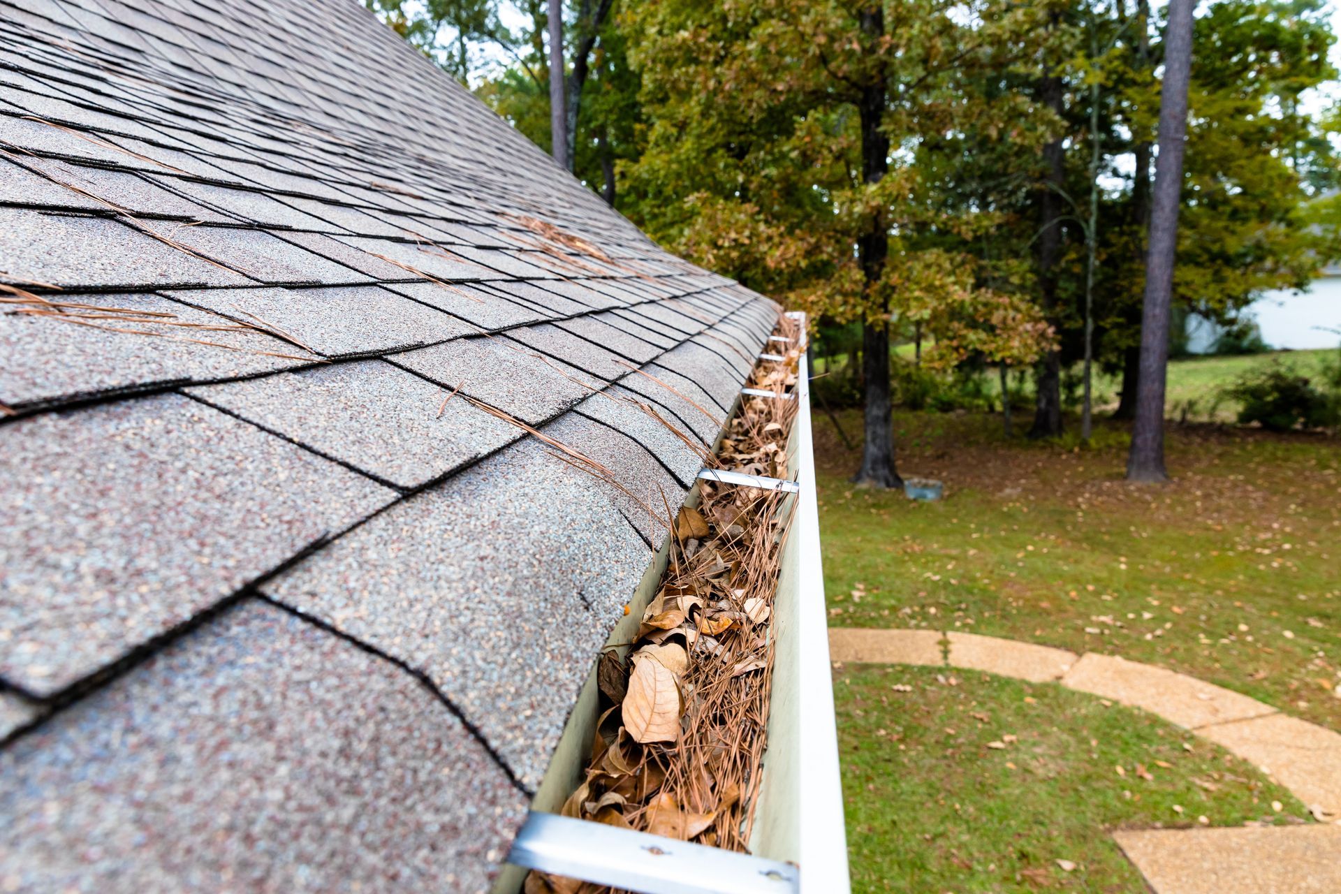 Gutter Clogged