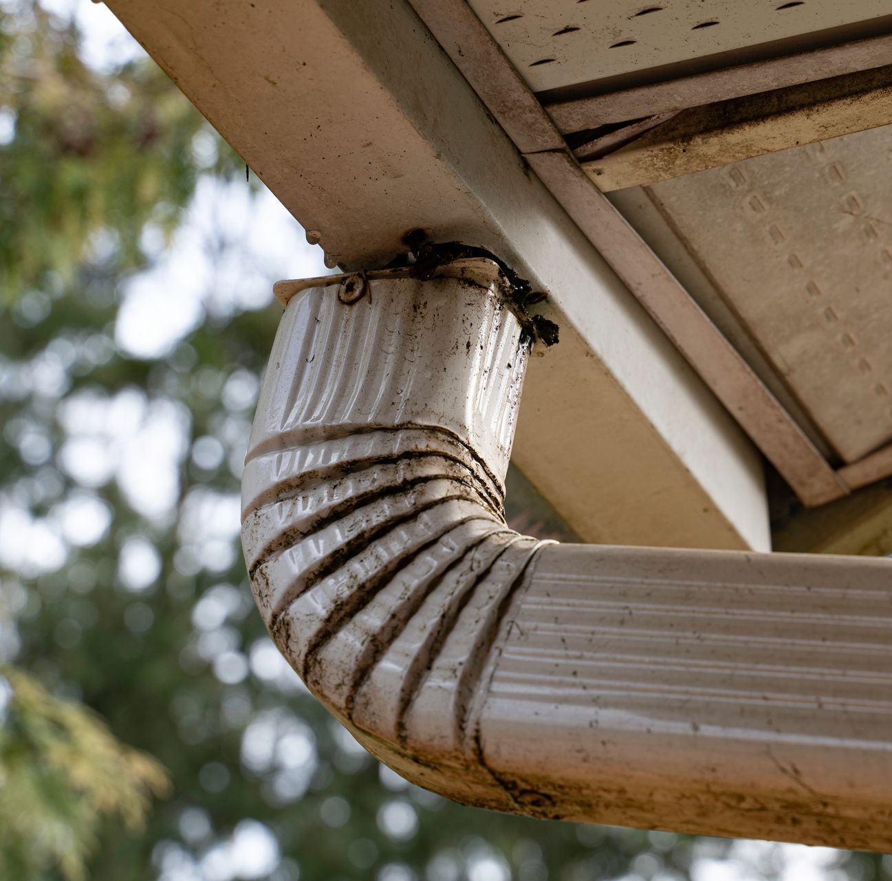 Gutter repair in Holyoke, MA