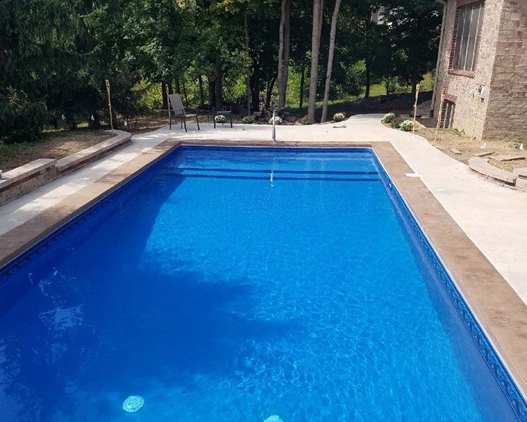 Blue swimming pool with brown border and light concrete surround, trees in background.