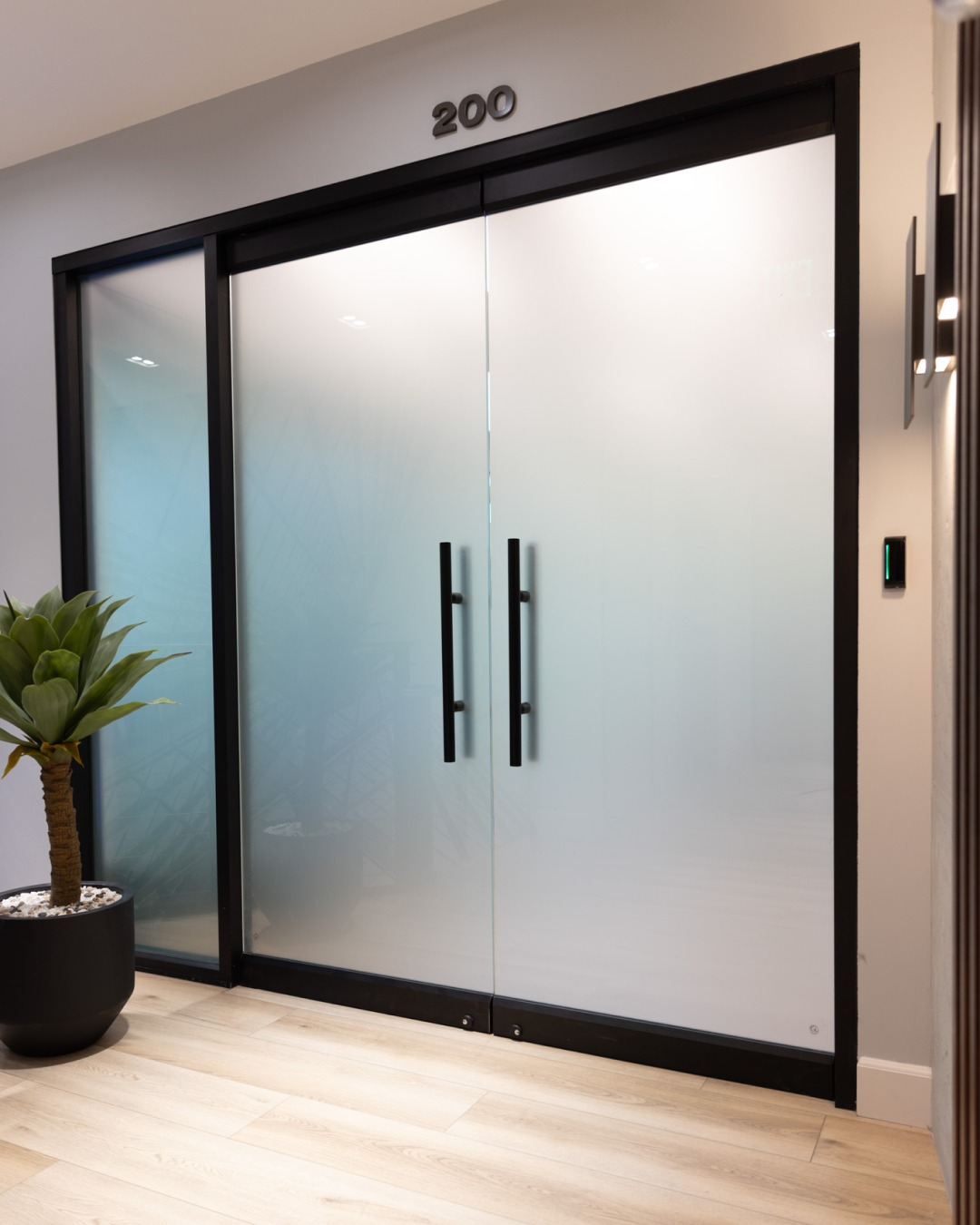 Frosted glass double office doors with black frame and handles beside a potted plant