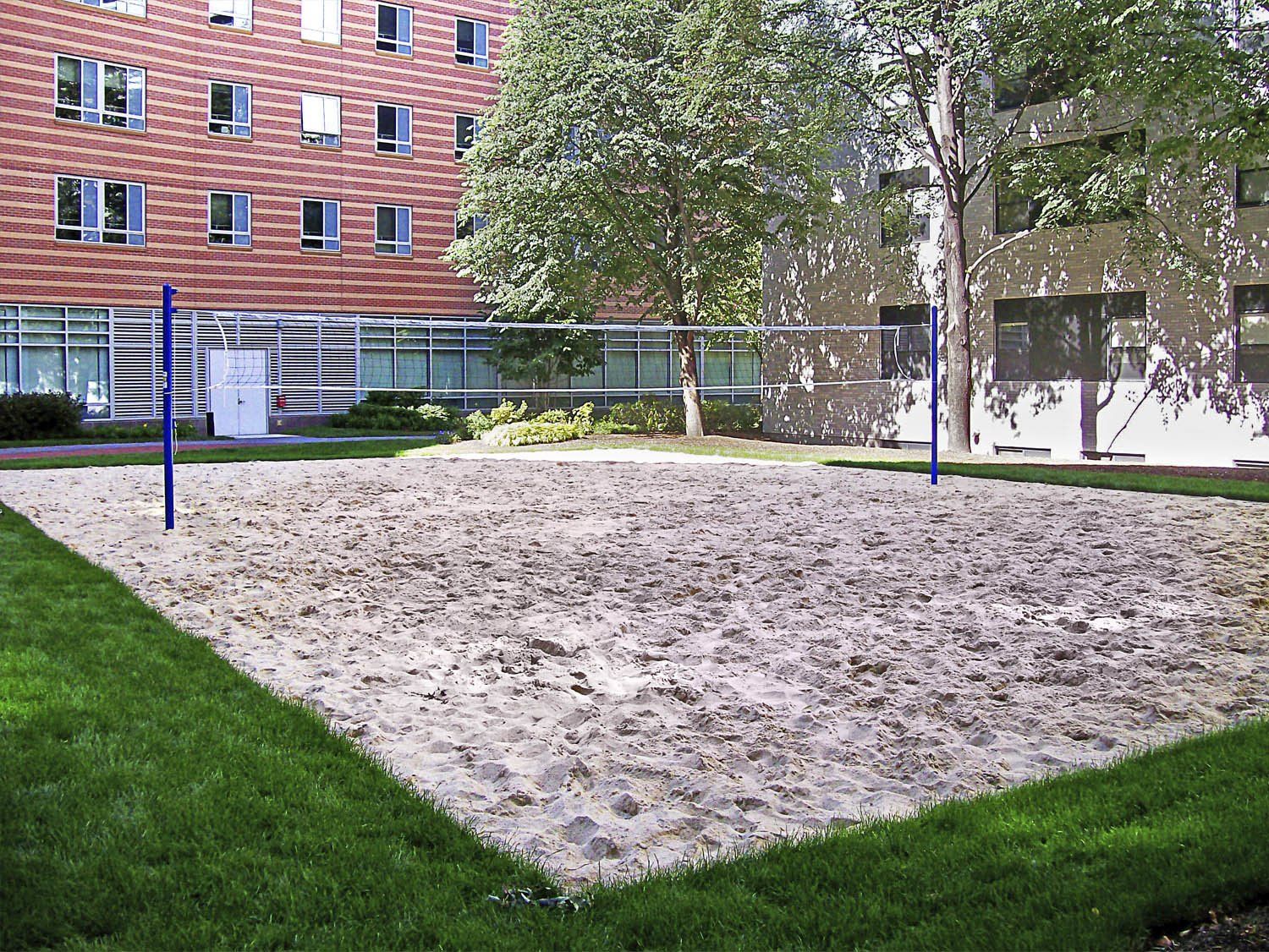 construcción de canchas en césped natural