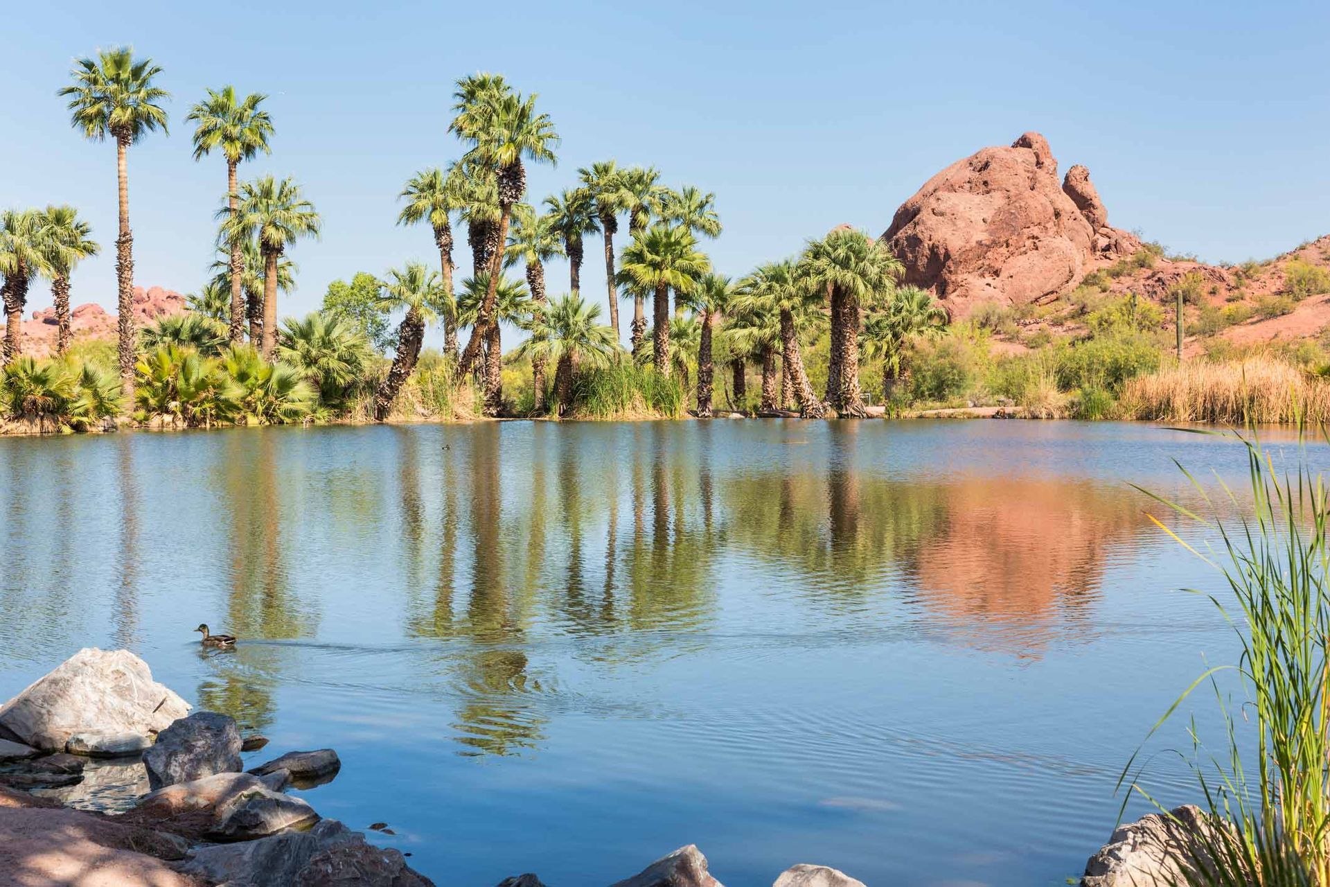 A Red Sandstone Butte Reflects In A Small Fishing Lagoon — Green Valley, AZ — Green Valley Pools & Spa