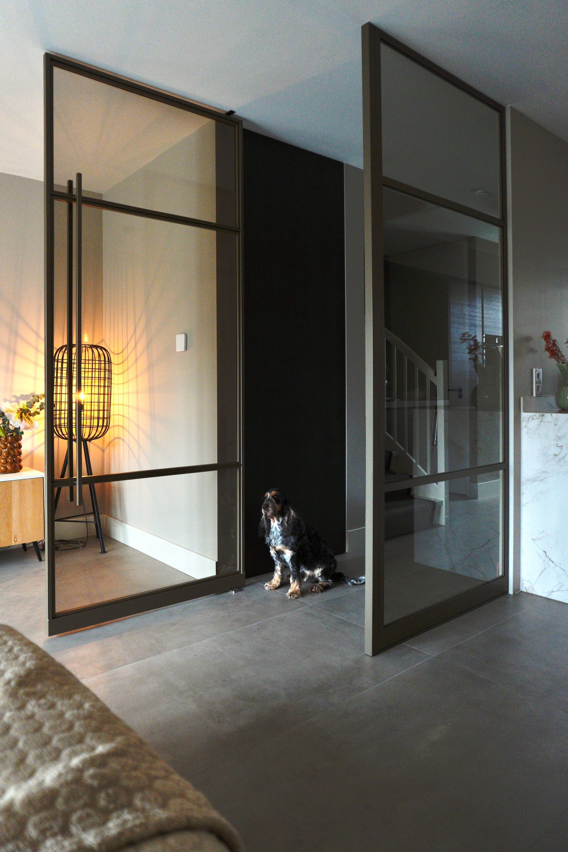 Glazen deuren met zwarte kozijnen in een modern interieur, hond zit ertussen.