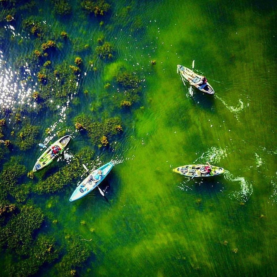 Lodi Boathouse Kayak Rentals and Tours Lodi California