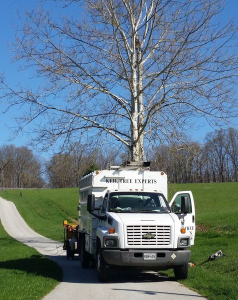 White utility truck on a rural road beside a tall tree and grassy field under a blue sky