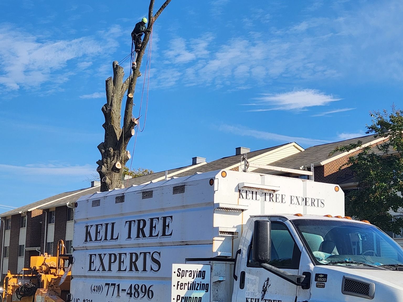 Tree removal truck with 