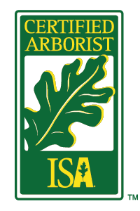 Certified Arborist logo with green oak leaf and yellow text on white background