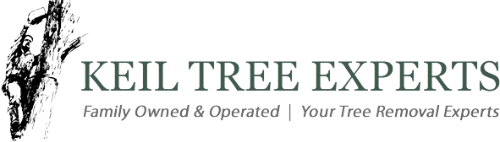 Keil Tree Experts logo with tree silhouette and tagline “Family Owned & Operated | Your Tree Removal Experts”