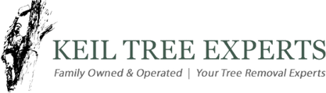 Keil Tree Experts logo with tree silhouette and tagline “Family Owned & Operated | Your Tree Removal Experts”