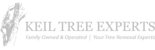 KEIL TREE EXPERTS logo with gray tree graphic and tagline, “Family Owned & Operated | Your Tree Removal Experts”