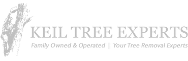 KEIL TREE EXPERTS logo with gray tree graphic and tagline, “Family Owned & Operated | Your Tree Removal Experts”