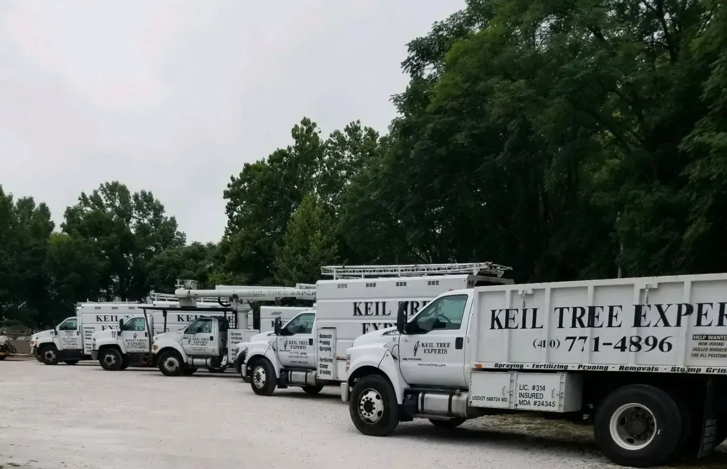 Worker in green jacket spraying around a tree beside a white service truck on a grassy lawn