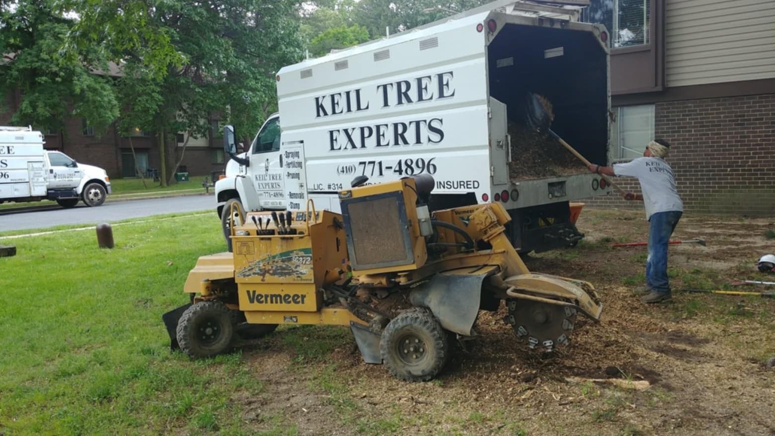 Worker in green jacket spraying around a tree beside a white service truck on a grassy lawn