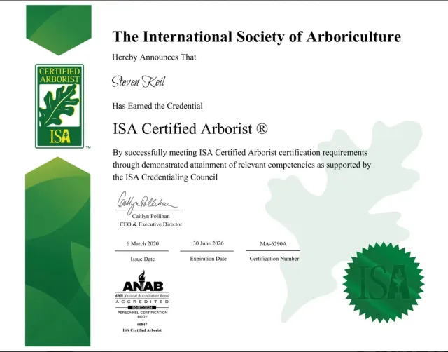 ISA Certified Arborist certificate with green border, seal, and signature lines on a white background