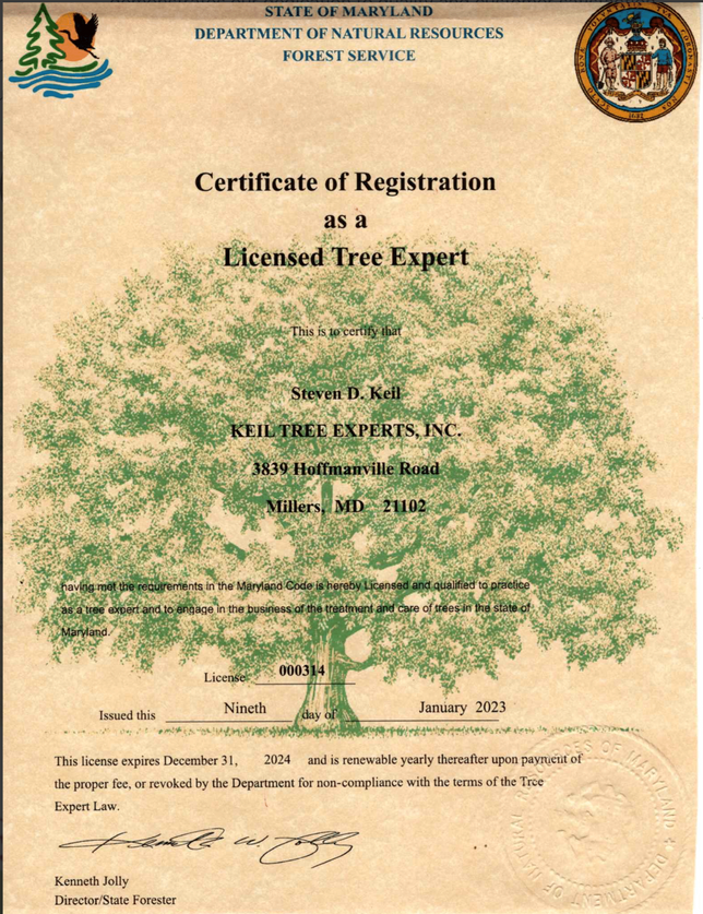 Certificate of Registration as a Licensed Tree Expert from New Jersey, with state seal and tree illustration